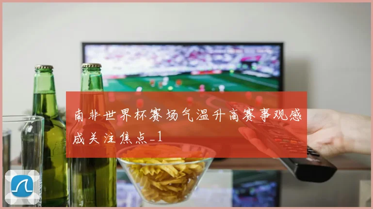 南非世界杯赛场气温升高赛事观感成关注焦点_1