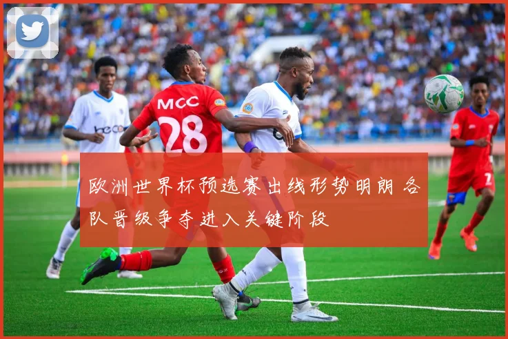 欧洲世界杯预选赛出线形势明朗 各队晋级争夺进入关键阶段