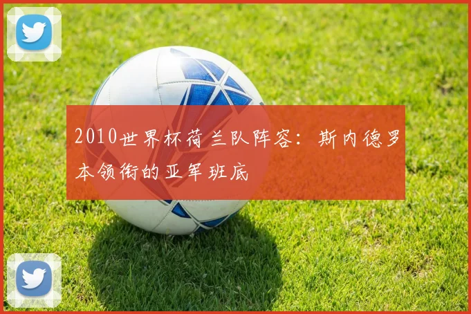 2010世界杯荷兰队阵容:斯内德罗本领衔的亚军班底